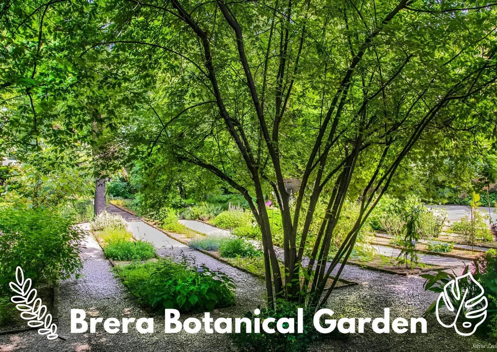 Appartement Brera Vip Spotlight - Brera - Duomo - Castello Sforzesco - Lanza Metro M2 à Milan Extérieur photo